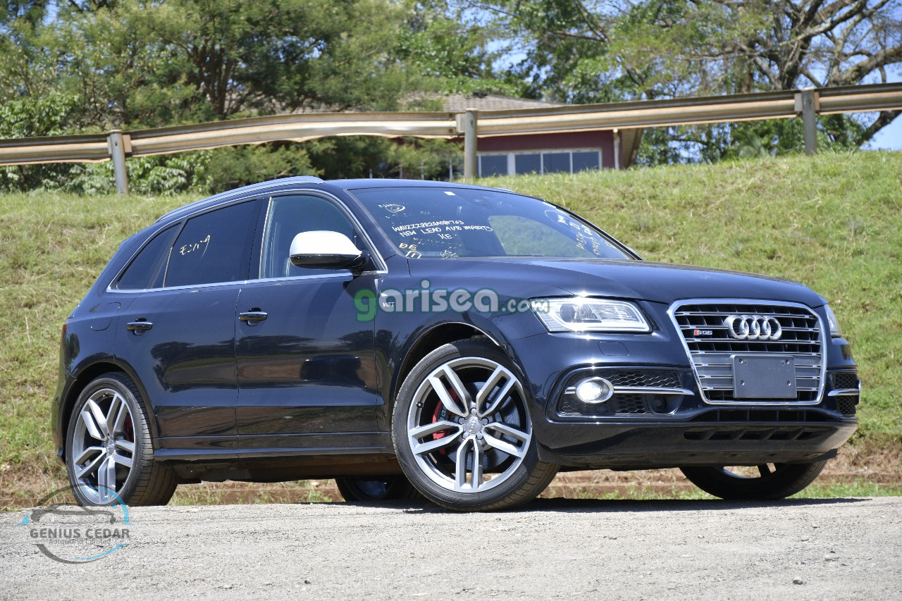 2016 Audi SQ5